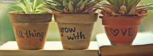 Plantas creciendo con amor